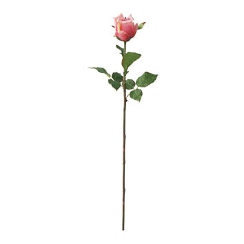 TEA ROSE BUD DK PINK 62CM - 7244DKPK (Box of 12)