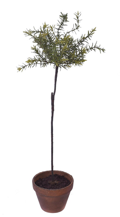 ROSEMARY POTTED 25X85CM - 7253 (Box of 2)