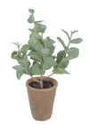 MINT POTTED 23X29CM - 7255 (Box of 6)
