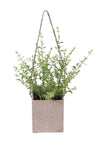 THYME BAG POT 25X34CM - 7256 (Box of 6)