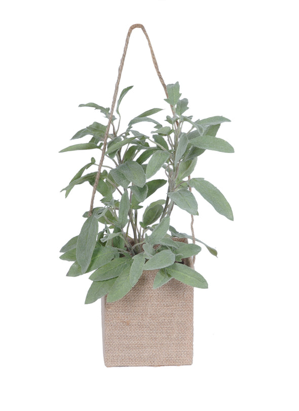 SAGE BAG POT 23X33CM - 7257 (Box of 6)