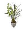 CYMBIDIUM ORCHID POTTED GREEN 50X82CM - 7262 (Box of 2)