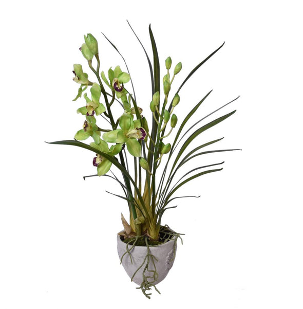 CYMBIDIUM ORCHID POTTED GREEN 50X82CM - 7262 (Box of 2)