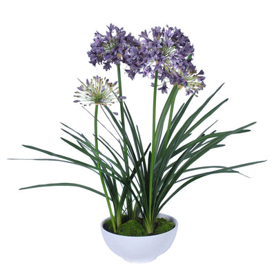 POTTED AGAPANTHUS BLUE 50X97CM - 7266 (Box of 1)