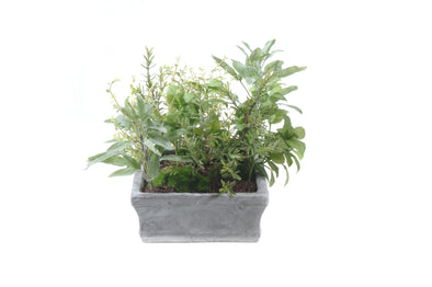 MIXED HERB TRAY 38X34CM  - 7270 (Box of 2)