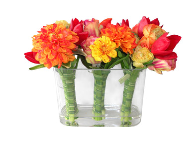 DAHLIA ARRANGEMENT BRIGHT 33X33CM - 7276 (Box of 1)