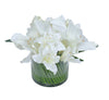 AMARYLLIS ARRANGEMENT WHITE 29X20CM - 7282 (Box of 1)
