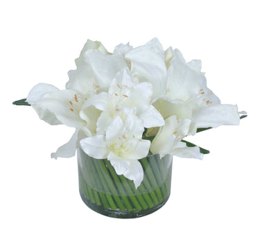 AMARYLLIS ARRANGEMENT WHITE 29X20CM - 7282 (Box of 1)