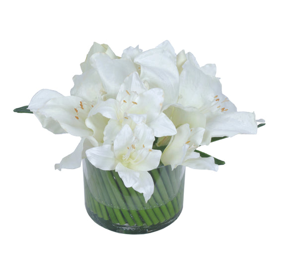 AMARYLLIS ARRANGEMENT WHITE 29X20CM - 7282 (Box of 1)