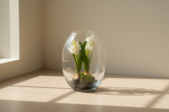 HYACINTH IN GLASS WHITE 10X25CM - 7283 (Box of 4)