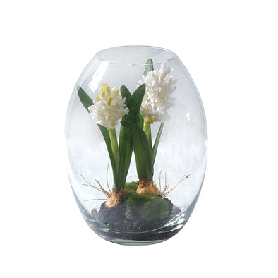 HYACINTH IN GLASS WHITE 10X25CM - 7283 (Box of 4)