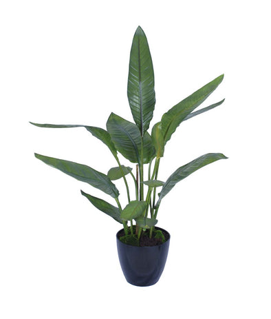 BIRD OF PARADISE POTTED  96X116CM - 7285 (Box of 1)