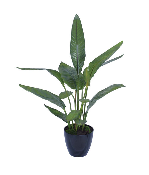 BIRD OF PARADISE POTTED  96X116CM - 7285 (Box of 1)