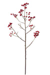 WILD ROSE HIP RED 81CM - 7192RD (Box of 12)
