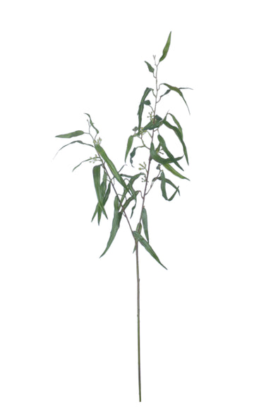 EUCALYPTUS STEM GREEN 83CM - 7196 (Box of 8)