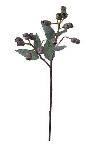 EUCALYPTUS POD BURGUNDY GREEN 64CM - 7197 (Box of 12)
