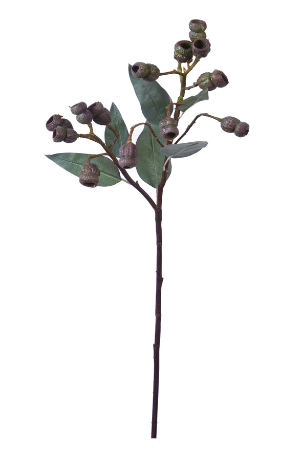 EUCALYPTUS POD BURGUNDY GREEN 64CM - 7197 (Box of 12)