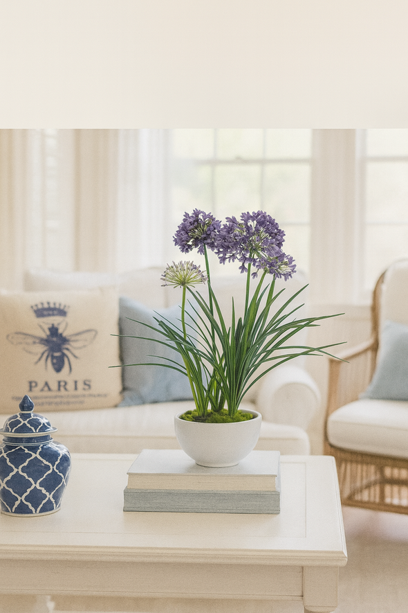 POTTED AGAPANTHUS BLUE 50X97CM - 7266 (Box of 1)