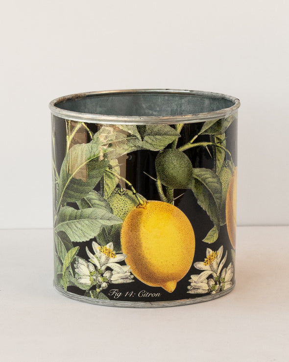 TIN PLANTER VINTAGE LEMON (SET OF 4) 15CM - CV20009 (Box of 1 Set)