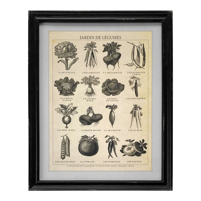 CASA VERDE FRAMED VINTAGE PRINT LEGUMES - CV23005 (Box of 1)