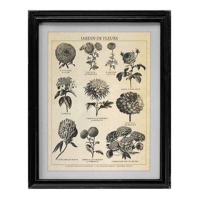 CASA VERDE FRAMED VINTAGE PRINT JARDIN DES FLEURS - CV23007 (Box of 1)