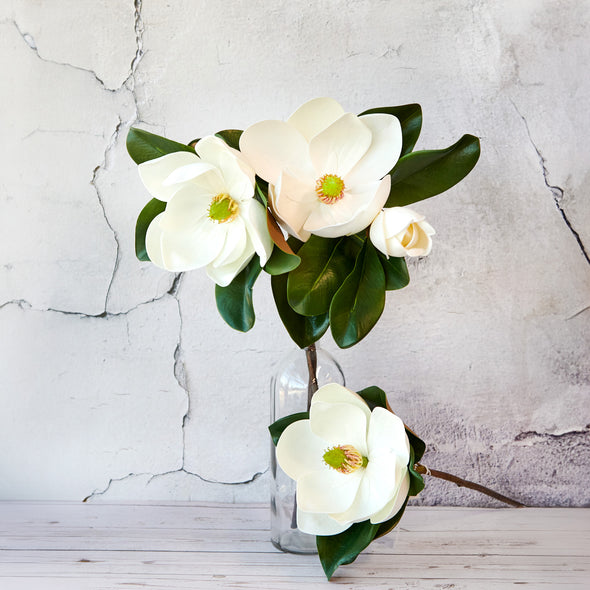 MAGNOLIA SINGLE STEM 59CM  - 7146 (BOX OF 12)