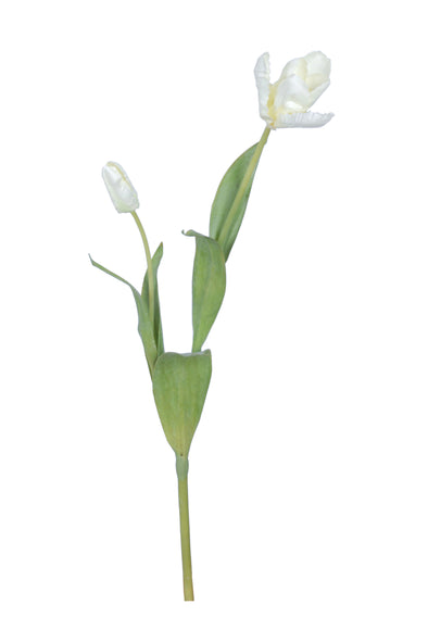 TULIP SPRAY X 2 WHITE 57CM - 7207 (Box of 12)