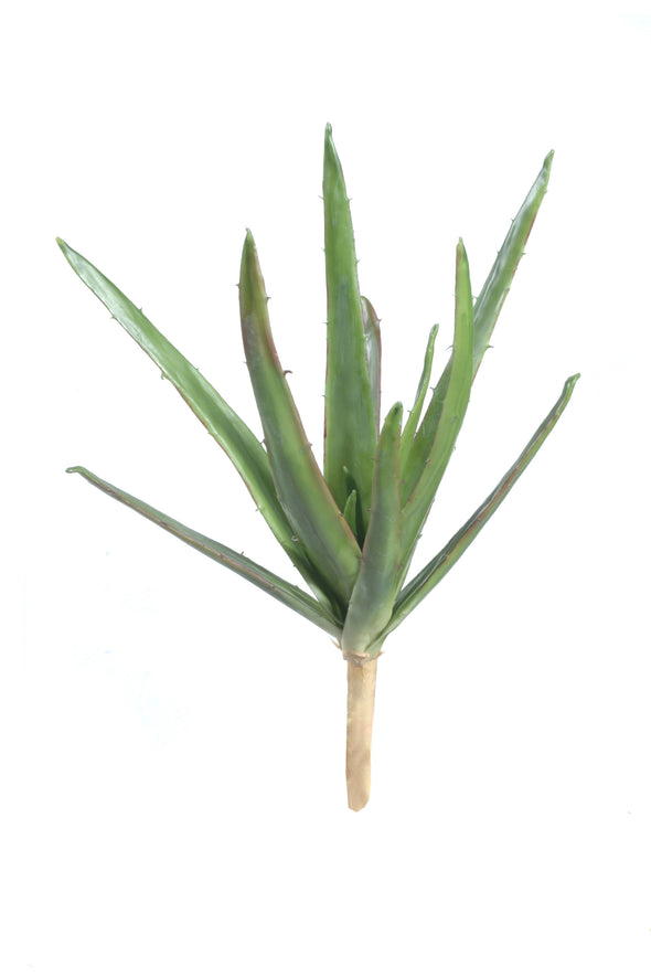 ALOE PLANT 41CM - 7210 (Box of 8)