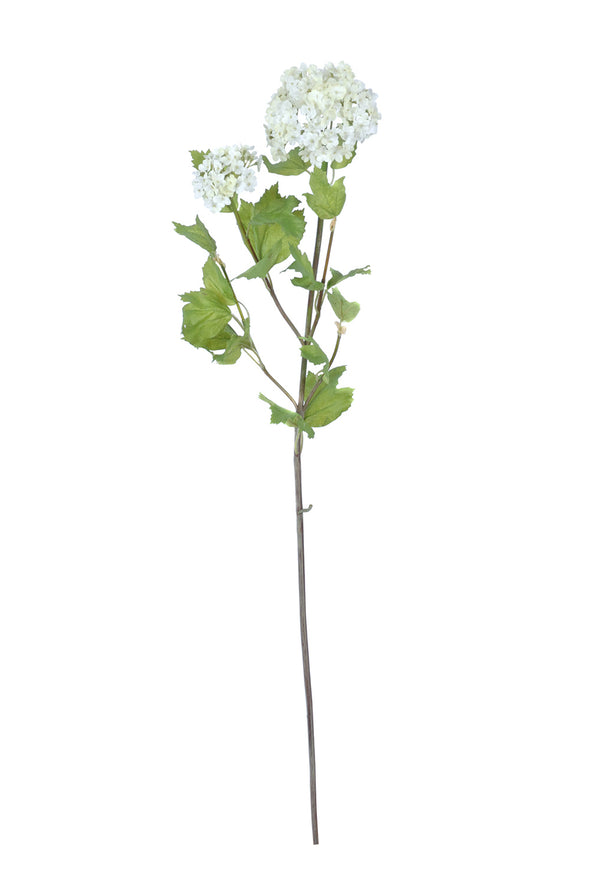 SNOWBALL WHITE 82CM - 7211 (Box of 12)