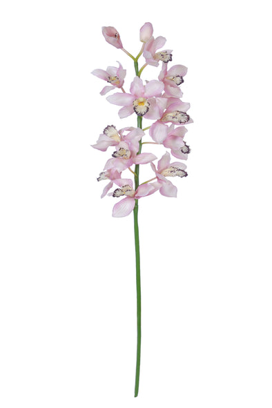 CYMBIDIUM ORCHID LT PINK 132CM - 7220LP (Box of 4)