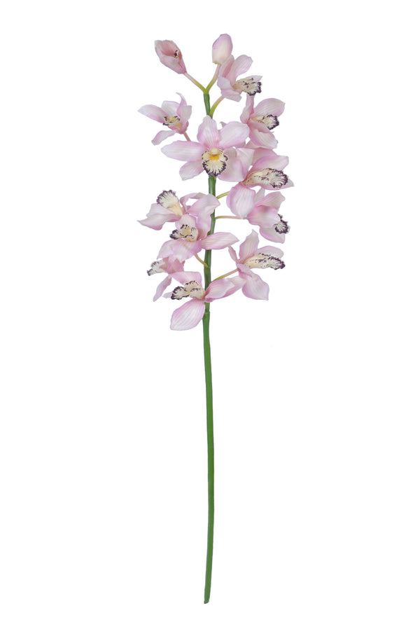 CYMBIDIUM ORCHID LT PINK 132CM - 7220LP (Box of 4)