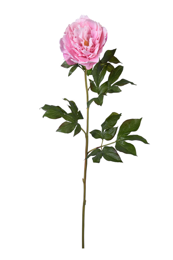 JAPANESE PEONY PINK 72CM - 7221PK (Box of 12)