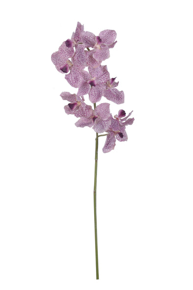 VANDA ORCHID PURPLE 75CM - 7227PU (Box of 6)