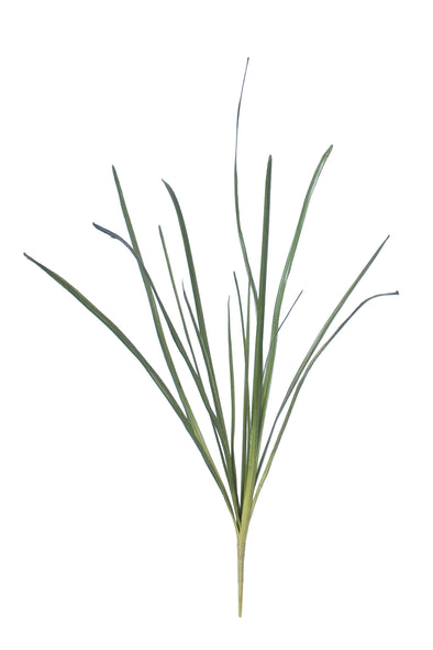 CYMBIDIUM LEAF SPRAY GREEN 66CM - 7231 (Box of 12)