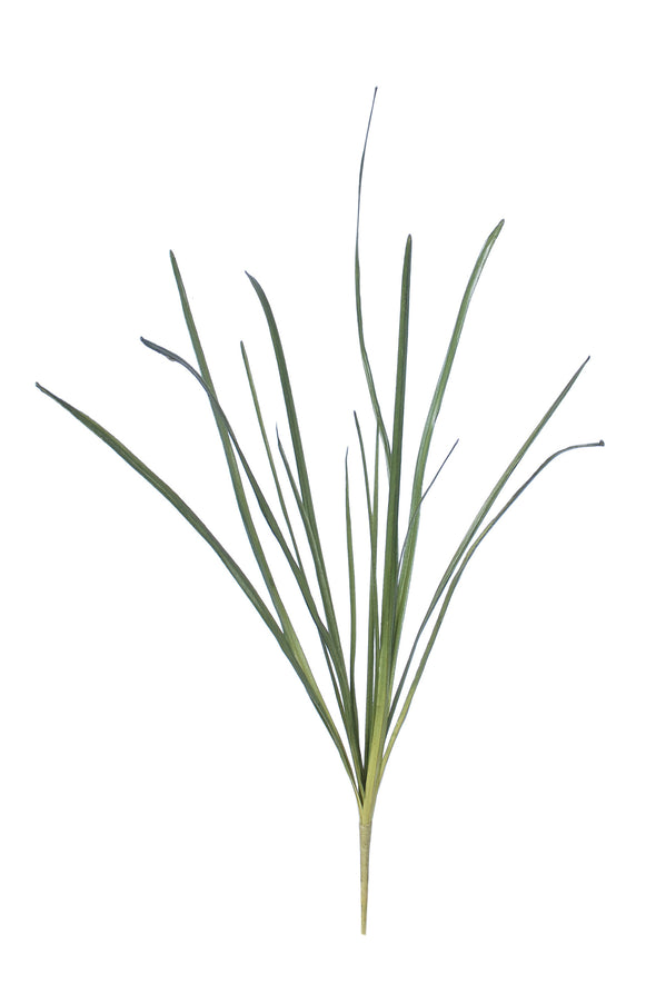 CYMBIDIUM LEAF SPRAY GREEN 66CM - 7231 (Box of 12)