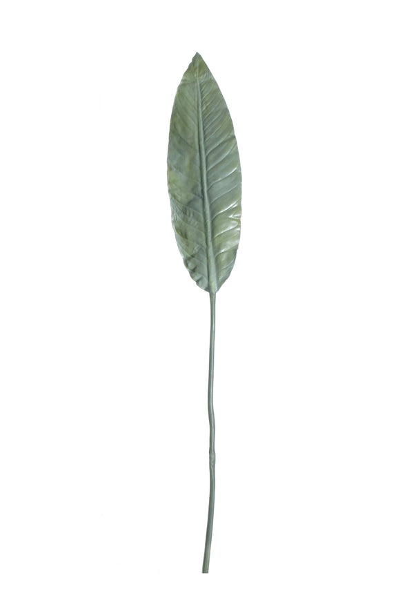 BIRD OF PARADISE LEAF GREEN 137CM - 7229 (Box of 12)
