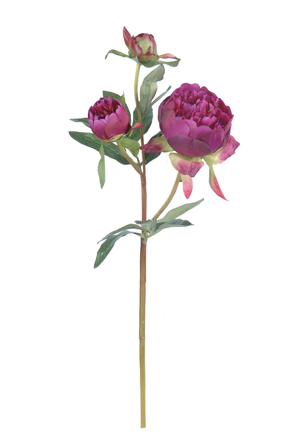 PEONY STEM DARK FUSCHIA 51CM - 7235OH (Box of 12)