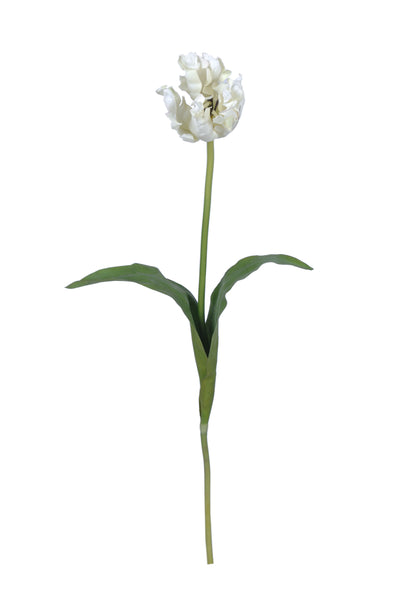 PARROT TULIP STEM WHITE 78CM - 7238WH (Box of 12)