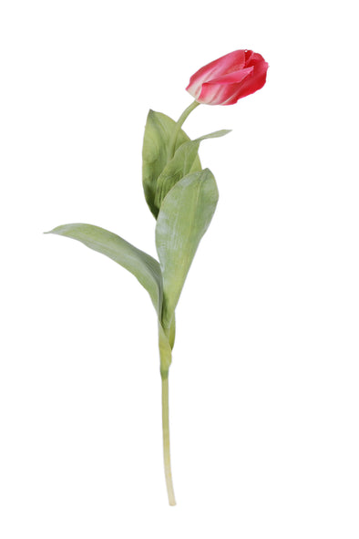 TULIP SPRAY PINK 84CM - 7242PK (Box of 12)