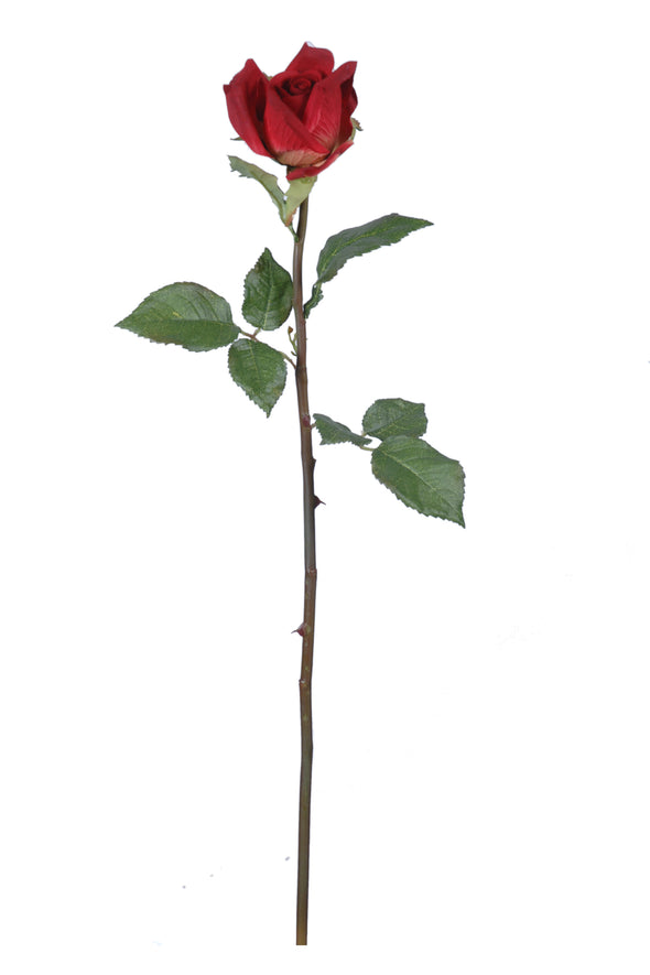TEA ROSE BUD RED 62CM - 7244RD (Box of 12)