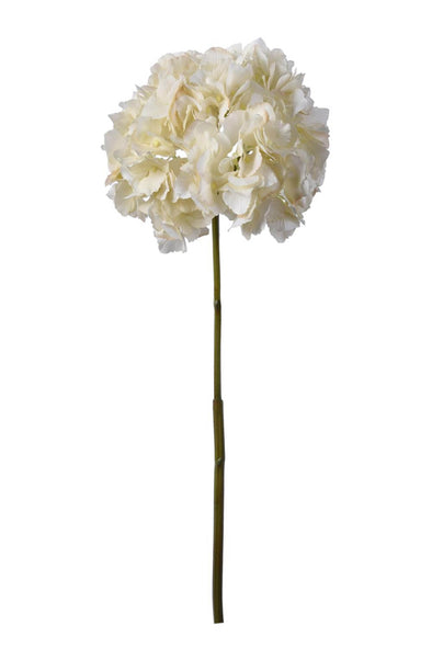HYDRANGEA STEM WHITE 49CM - 7247 (Box of 12)
