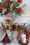 HAIRY QUEEN PROTEA FLAME 67.5CM - 7178FL (Box of 6)