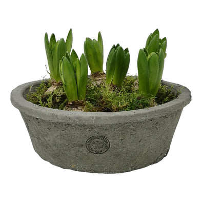 KEW RUSTIC TERRACOTTA DISH PLANTER LARGE 25 X 8.5CM ANTQ RED - KP97002 (Box of 4) (Copy)