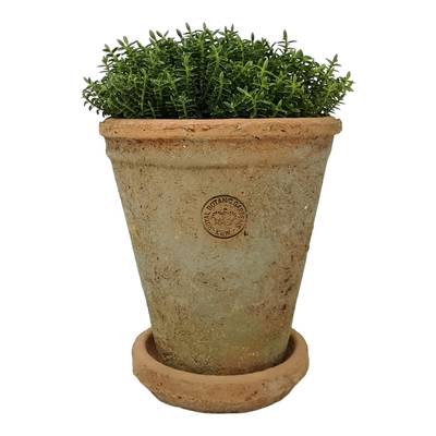 KEW RUSTIC TERRACOTTA LONG TOM WITH SAUCER  16 X 17CM ANTQ RED - KP97005 (Box of 6)