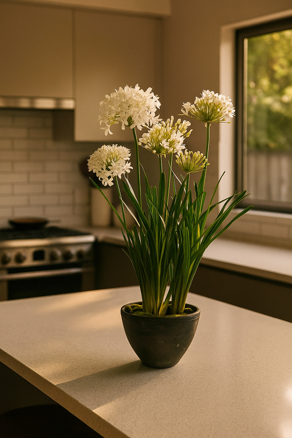 AGAPANTHUS POTTED WHITE 95X118CM - 7251WH (Box of 1)