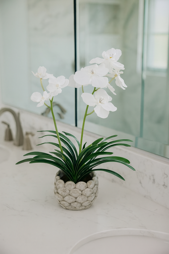 VANDA ORCHID POTTED WHITE 37X55CM - 7254 (Box of 2)