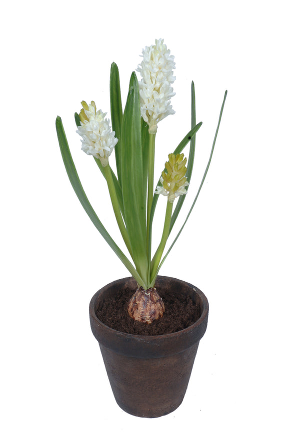 HYACINTH POTTED WHITE 19X48CM - 7252WH (Box of 4)
