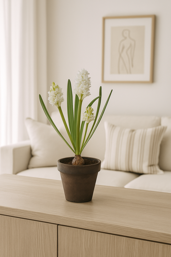 HYACINTH POTTED WHITE 19X48CM - 7252WH (Box of 4)