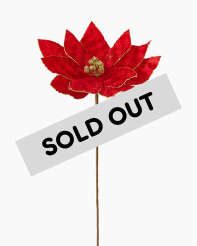 POINSETTIA STEM RED 65CM - X2912 (Box of 36)