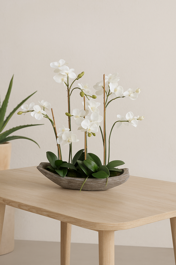 PHALAENOPSIS ORCHID POTTED 58X71CM - 7272 (Box of 1)